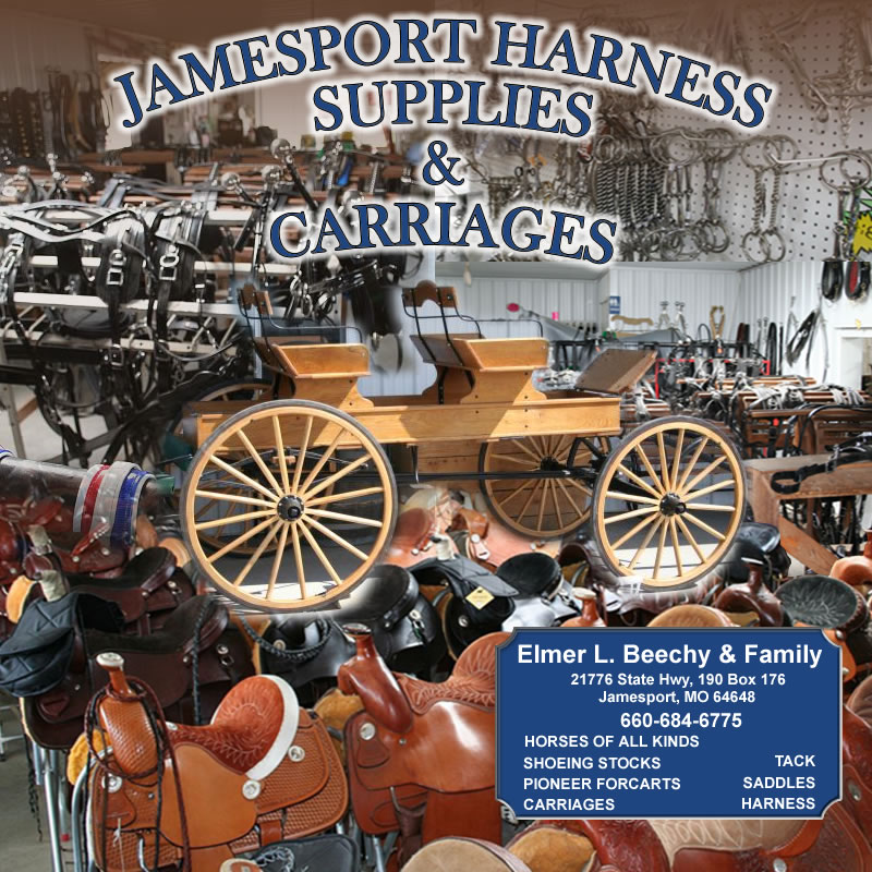 jamesport mo harness shop